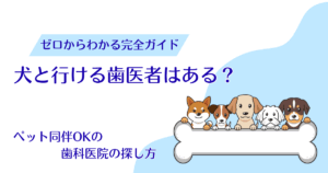 犬と行ける歯医者はある？ペット同伴OKの歯科医院の探し方と注意点