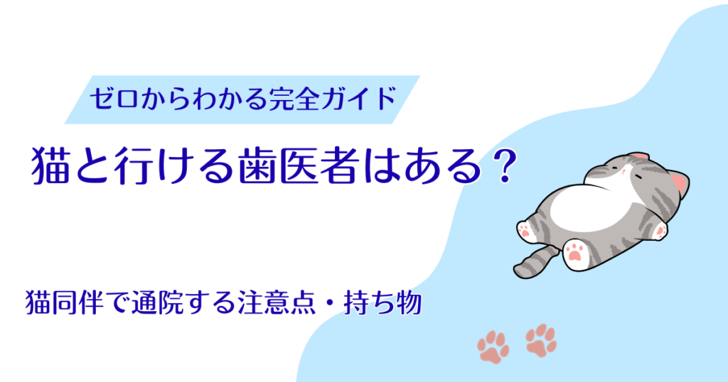 猫と行ける歯医者はある？猫同伴で通院するときの注意点・持ち物を解説