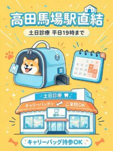 「ペットと一緒に」が当たり前の歯医者へ