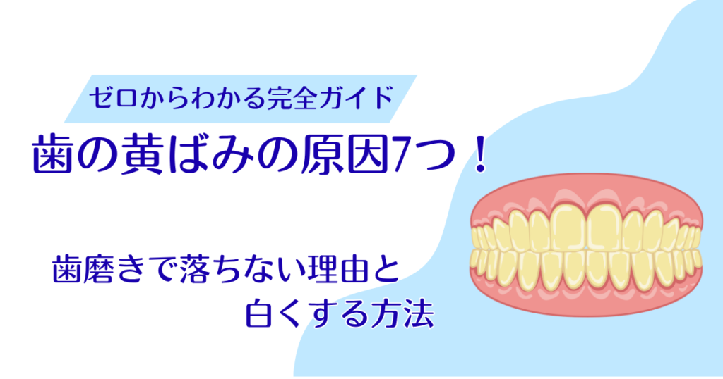 歯の黄ばみの原因7つ！歯磨きで落ちない理由と白くする方法を解説